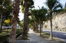 Palm trees line sidewalk near St Maarten cruise facility.jpg