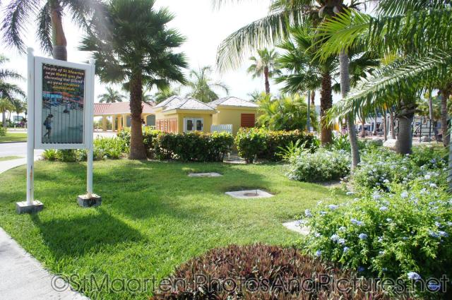 Plants and trees at St Maarten cruise port terminal area.jpg