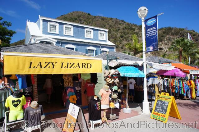 Lazy Lizard in St Maarten.jpg
