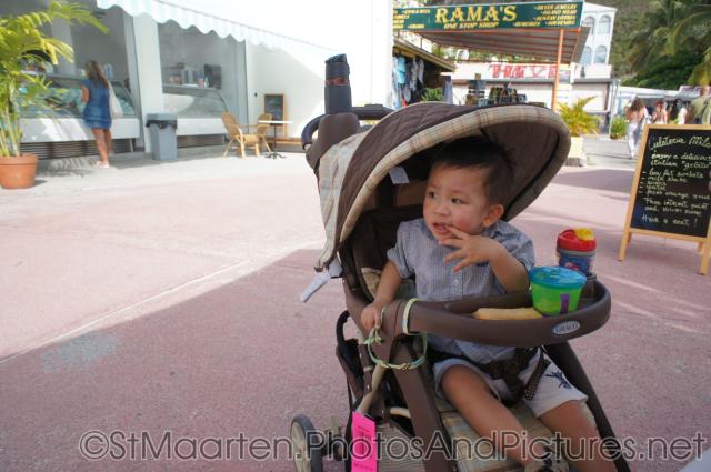 Darwin looks on from his stroller in Philipsburg St Maarten.jpg