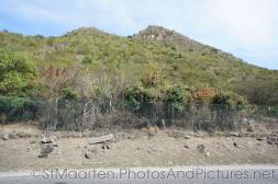 Hills in St Maarten.jpg