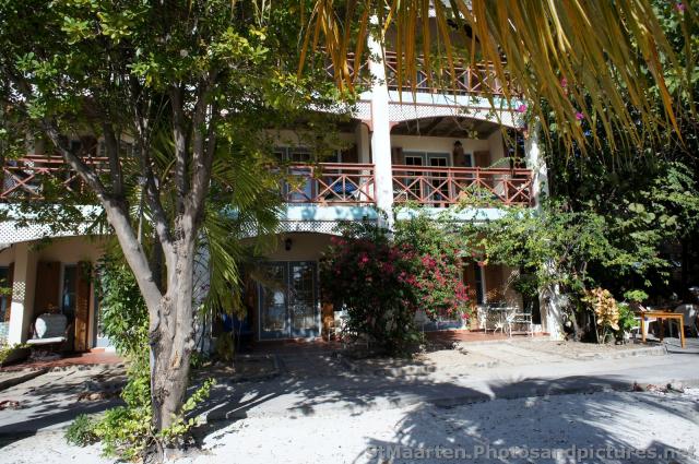 Beach-side hotel with palm trees and oleanders in Philipsburg St Maarten.jpg

